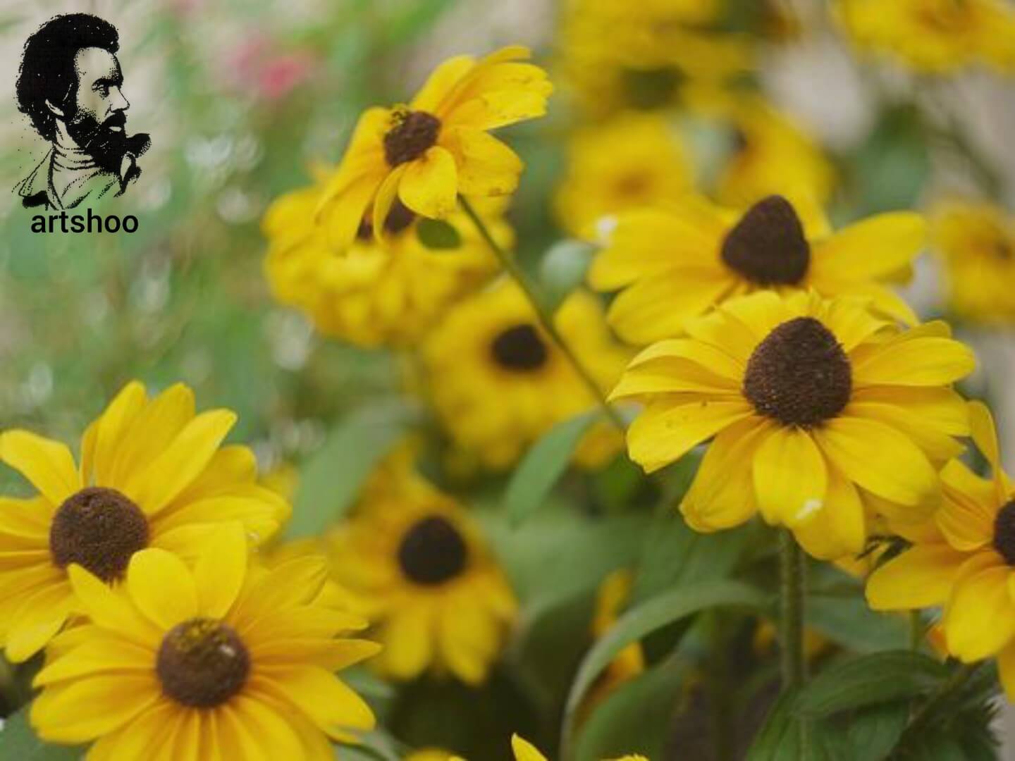 آموزش نقاشی رنگ روغن